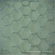 Electro Galvanized Hexagonal Wire Mesh